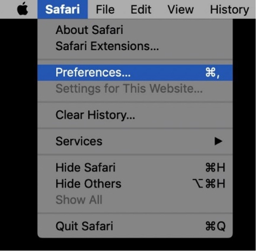 Safari Screenshot 2